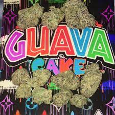 Where to order Guava Weed Strain in the uk online shop and Buy Guava Weed Strain online in uk
